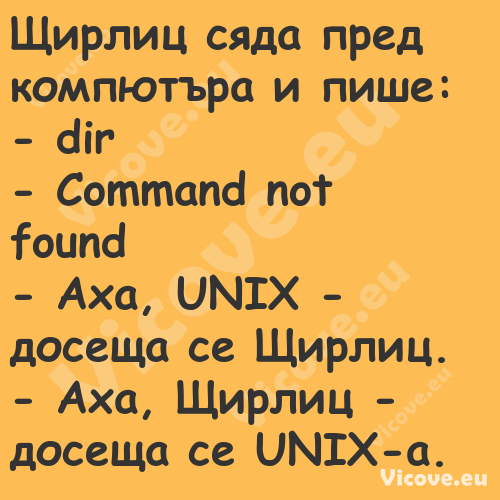 Щирлиц сяда пред компютъра и пи...