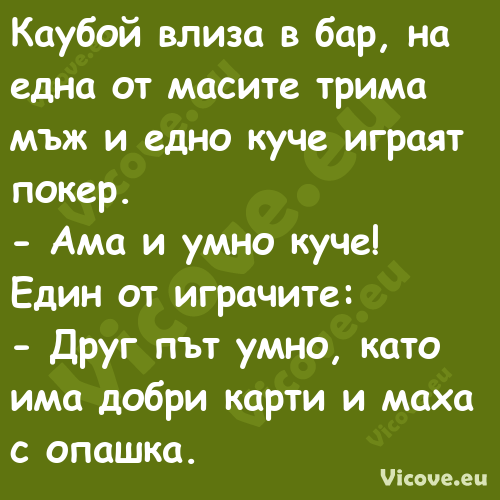 Каубой влиза в бар, на една от ...