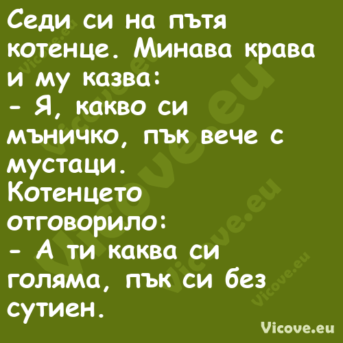 Седи си на пътя котенце. Минава...