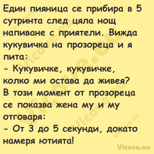 Един пияница се прибира в 5 сут...