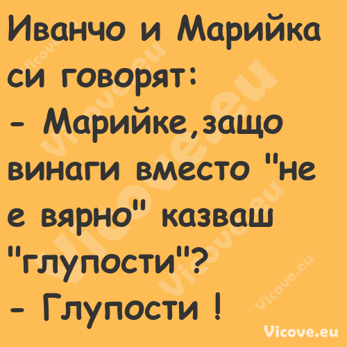  Иванчо и Марийка си говорят:...