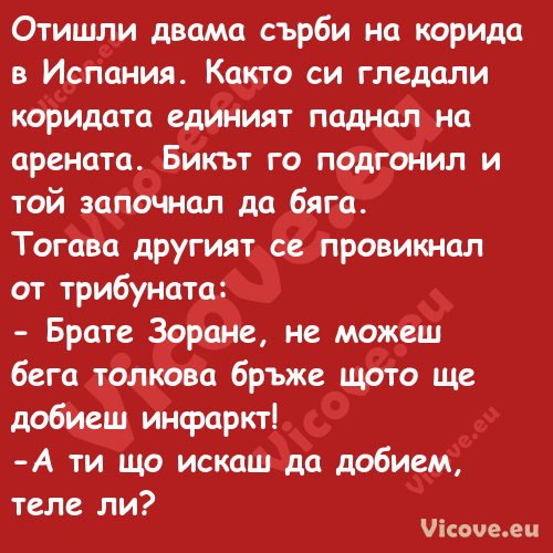 Отишли двама сърби на корида в ...