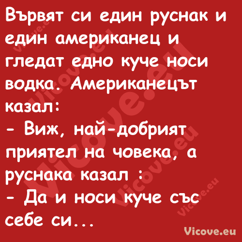 Вървят си един руснак и един ам...