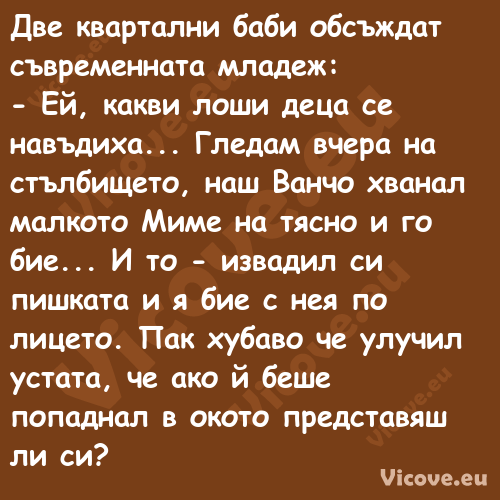 Две квартални баби обсъждат съв...