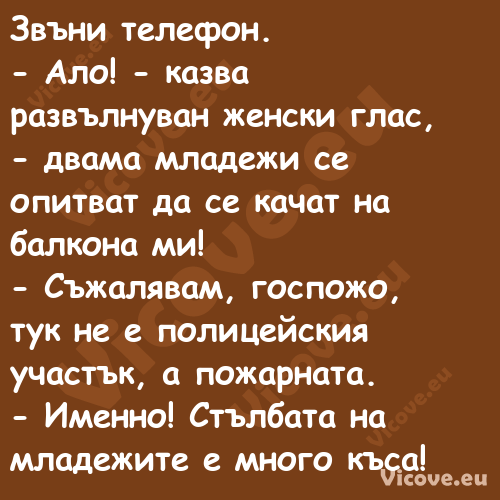 Звъни телефон. Ало! казв...