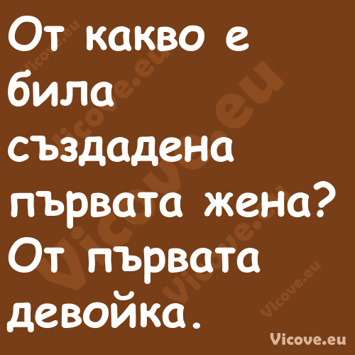 От какво е била създадена първа...