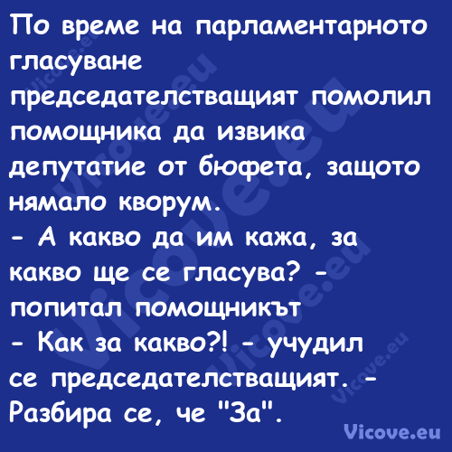 По време на парламентарното гла...