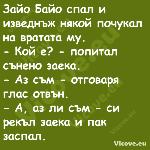 Зайо Байо спал и изведнъж някой...