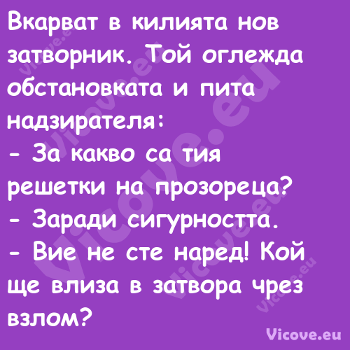 Вкарват в килията нов затворник...