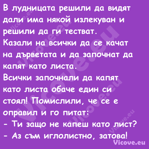 В лудницата решили да видят дал...