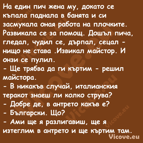 На един пич жена му, докато се ...