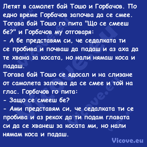 Летят в самолет бай Тошо и Горб...