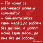  По какво се различават шопа и...